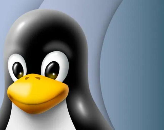 Выпущена версия Tails 6.6 Live Linux с улучшениями хранилища / ИИ, сервисы и приложения / iXBT Live